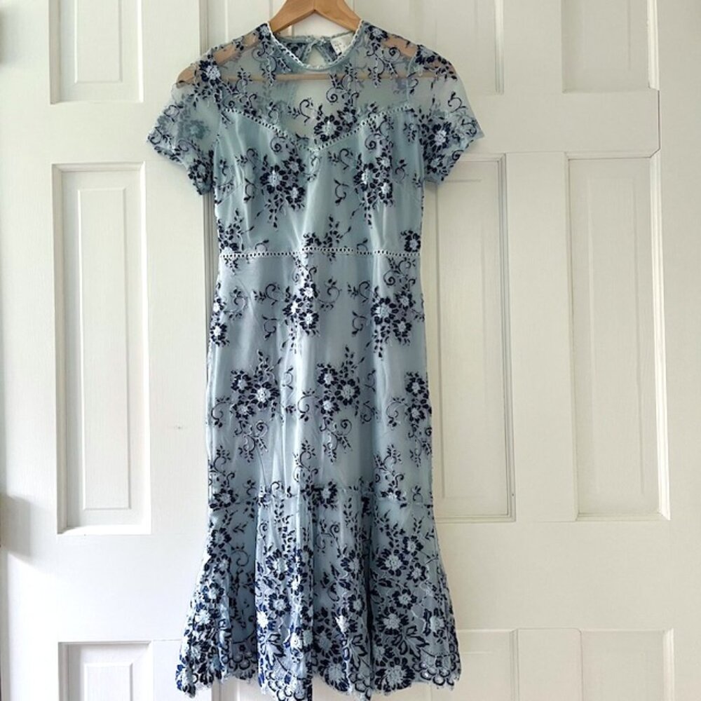 embroidered lace mesh dress | cutout back